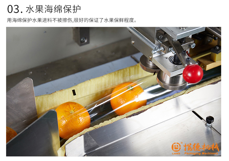 海綿保護(hù)橙子